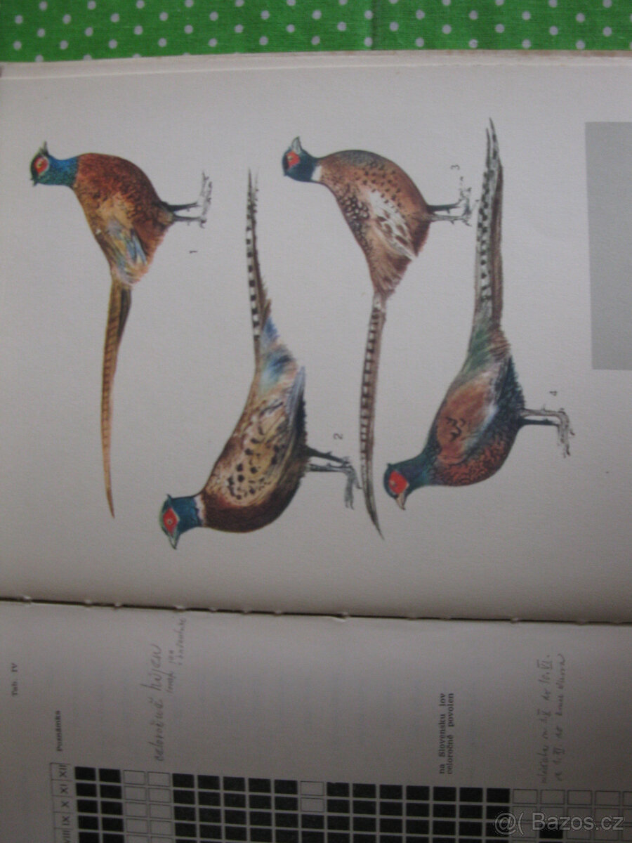 Zajímavé čtení pro myslivce - 6