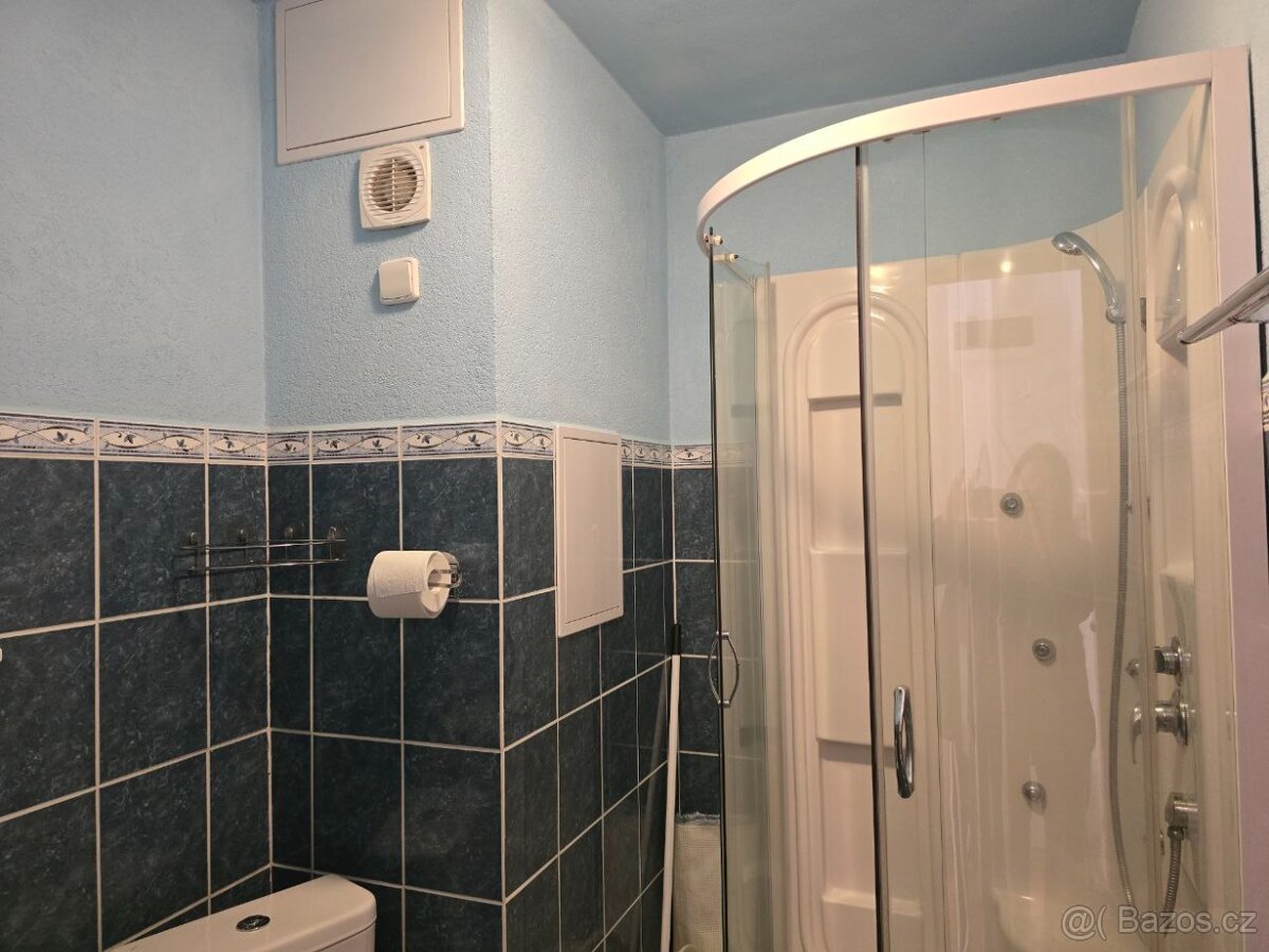 Pronájem bytu 1+1,Drahovice, Karlovy Vary - 6