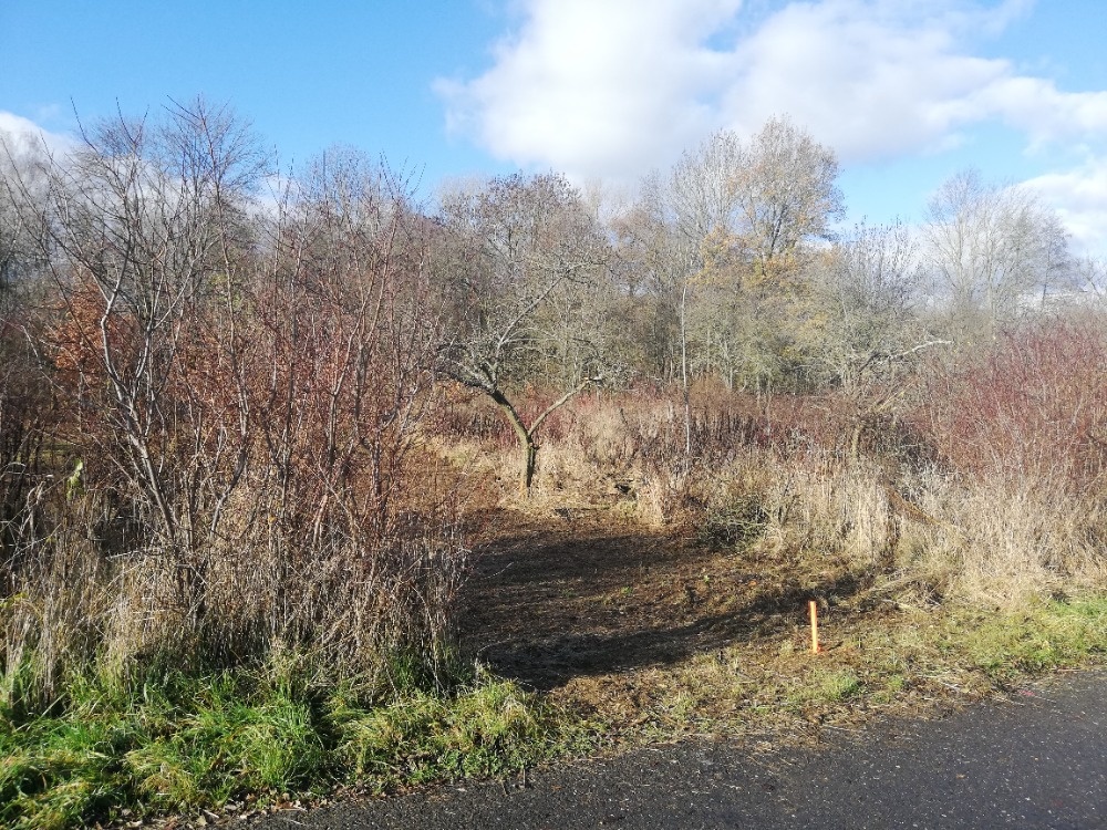 Olomouc řepčín zahrádka 455 m2 - 6