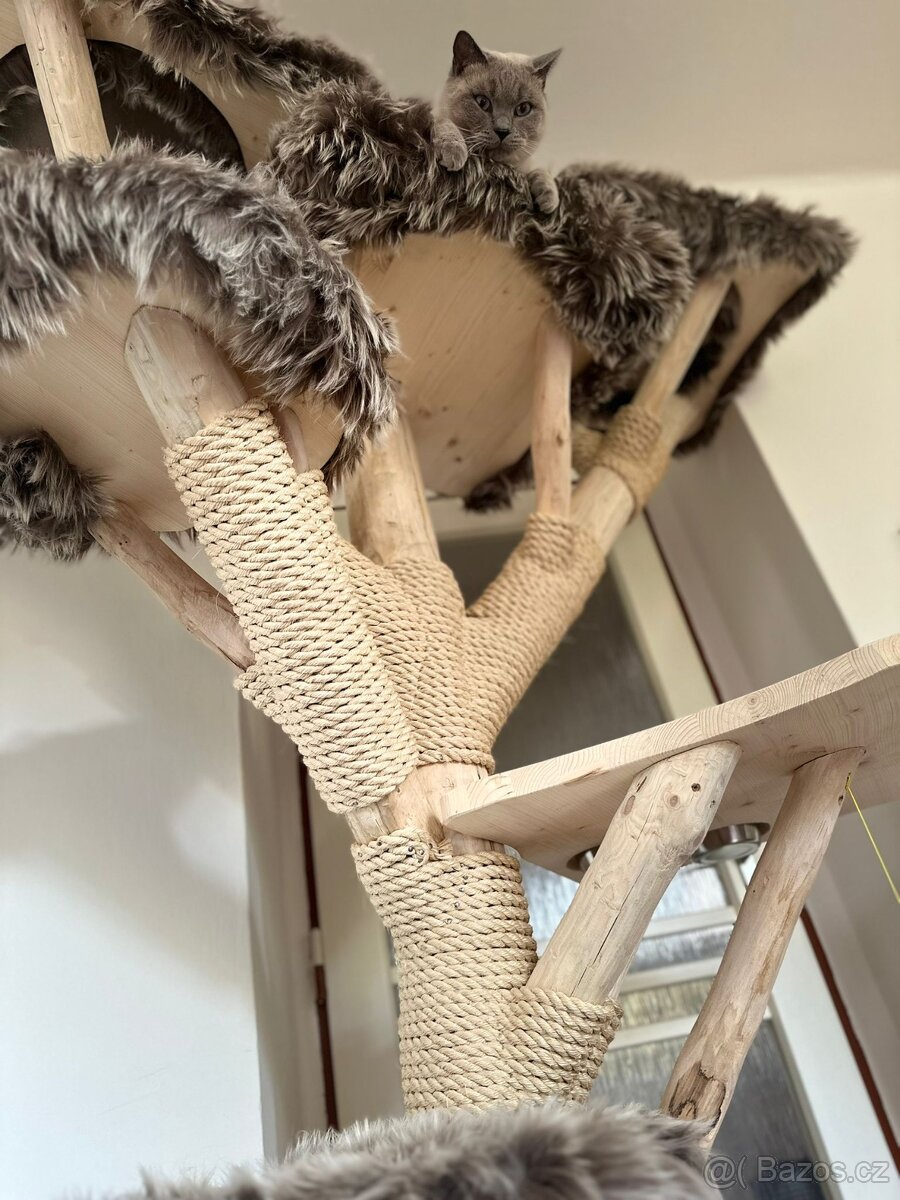 Prodám krásný kočičí strom - 6