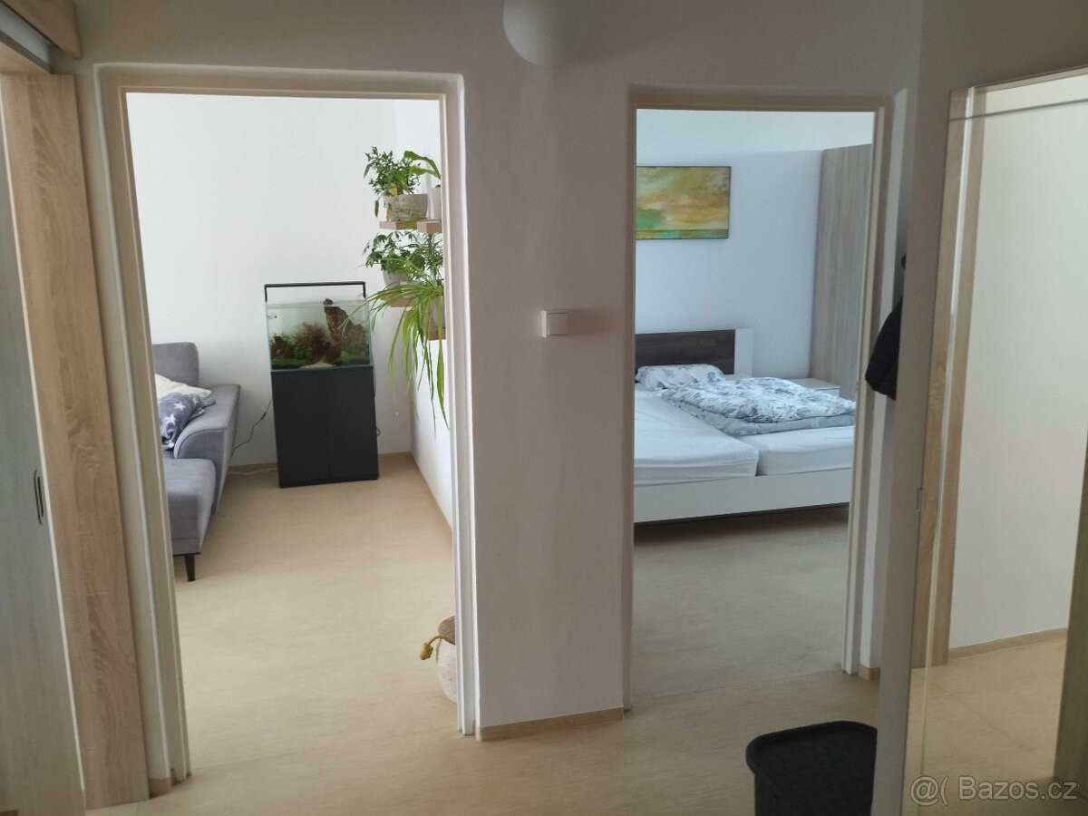 Prodej bytu 2+1 70 m² Hradec Králové, Milady Horákové - 6