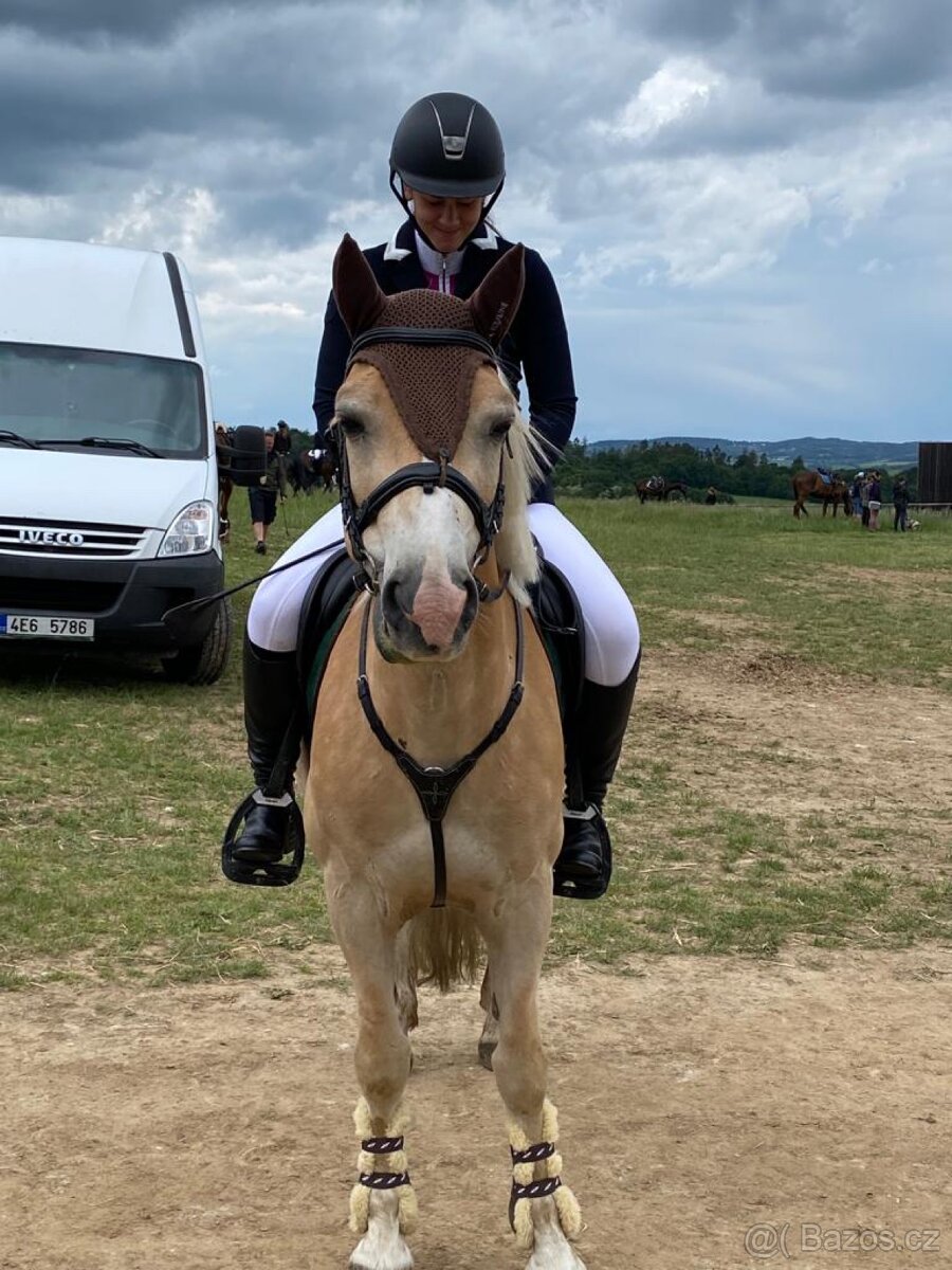 Patnáctiletý hafling - 6