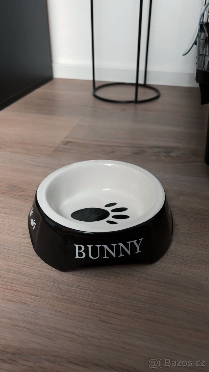 Zakrslý králíček - 6