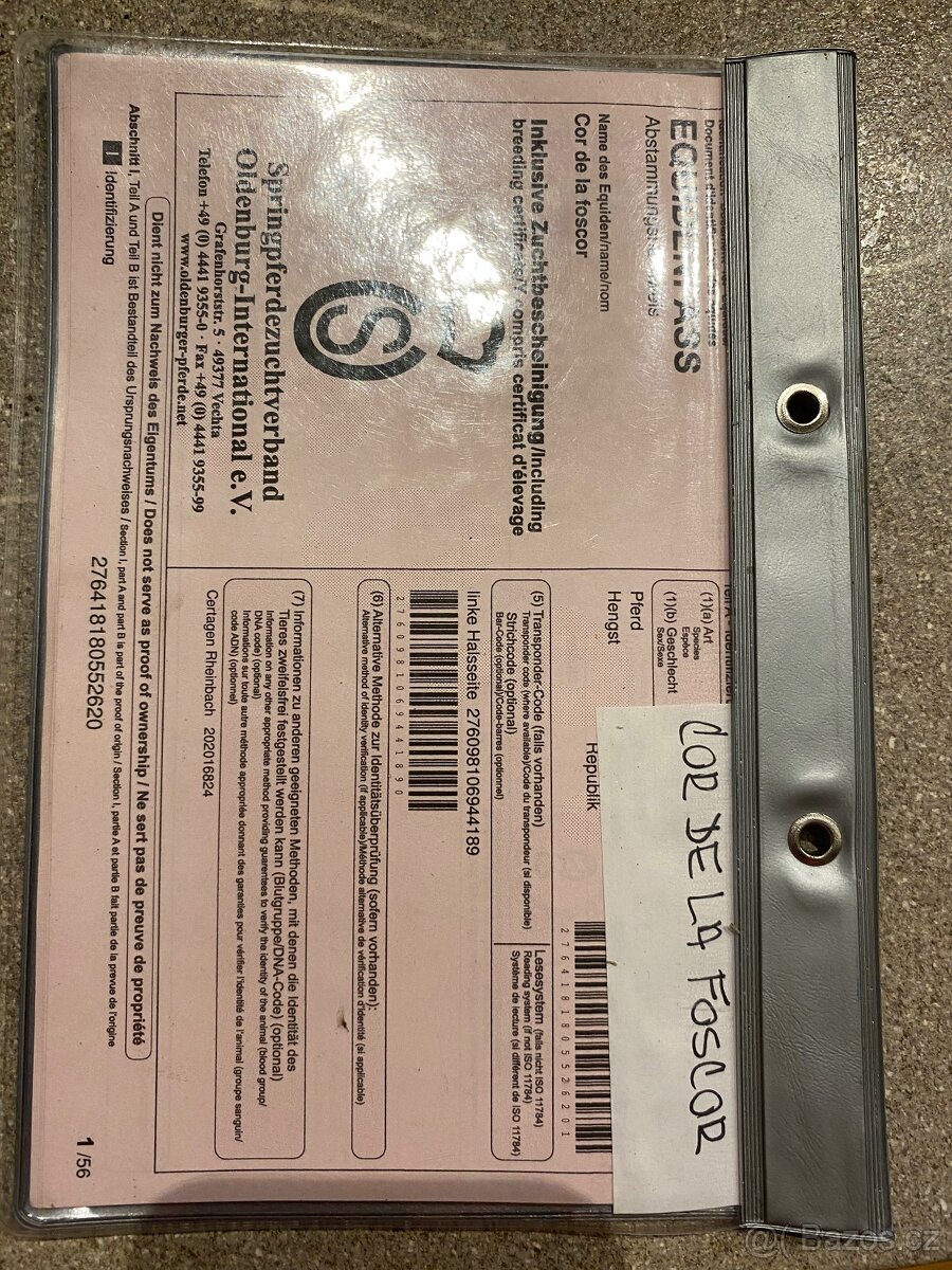 Prodám 5 l, Old. valach - 6