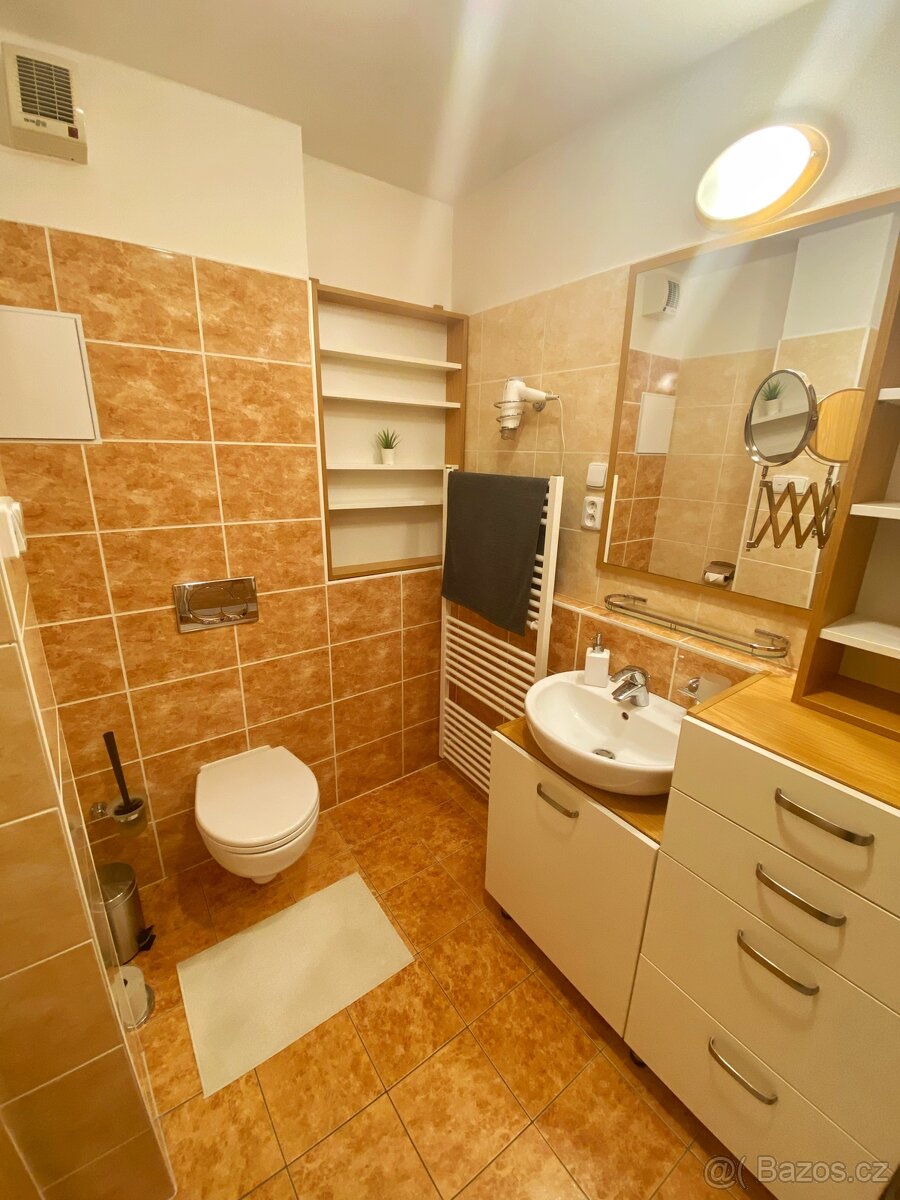 Pronájem byt 1kk (40m2) + park. stání, Čeladná - Farské luky - 6