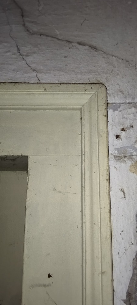 Staré dvoukřídlé dveře s prosklením - 6