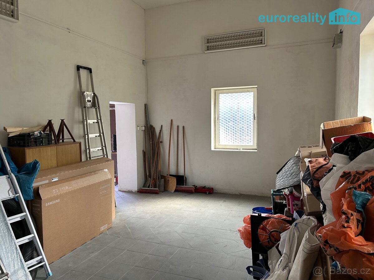 Prodej, komerční prostor, 330m2, Planá - 6