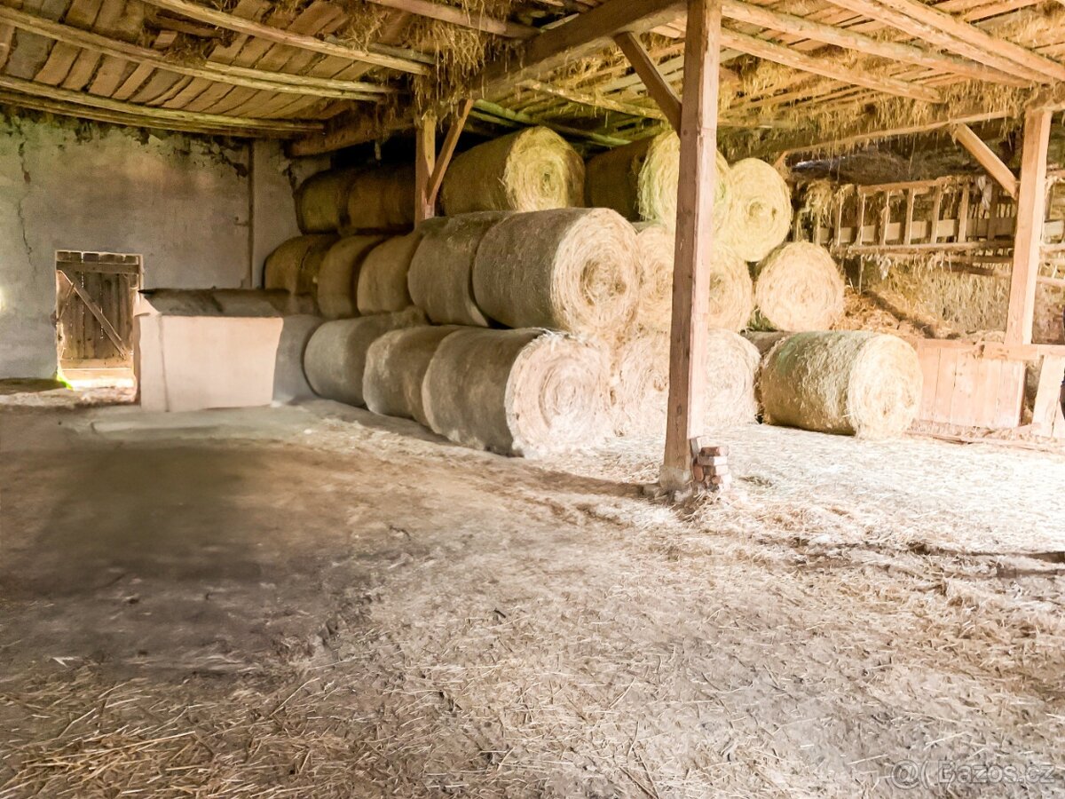 Prodej hospodářské usedlosti se 2 rodinnými domy - 6