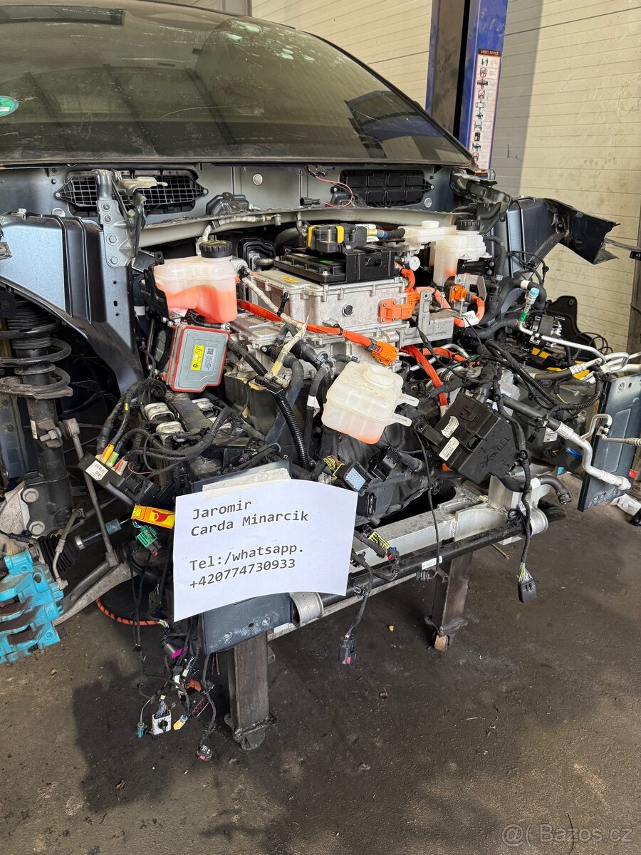 Fisker ocean dily - 6