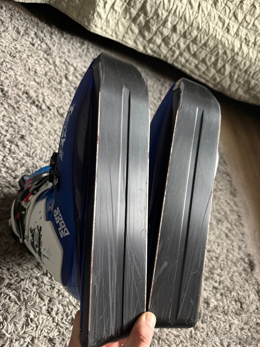 Sled dogs K9.02 rabid - 6