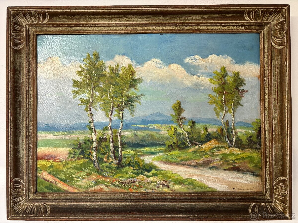 Letní krajina v podhůří - 6