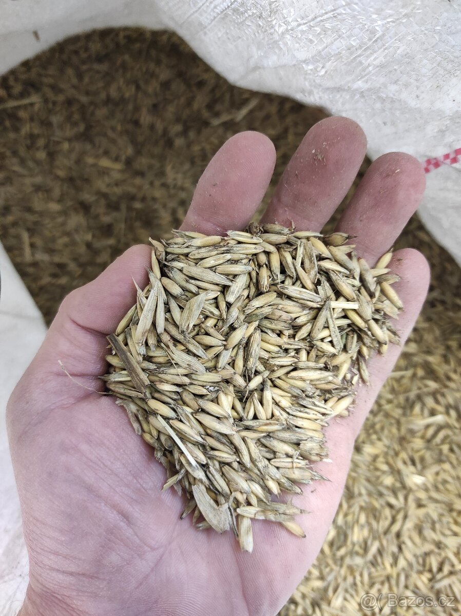 Krmivo pro nosnice ENERGYS - 6