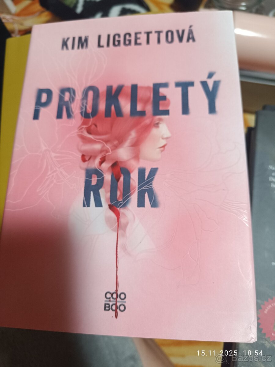 Prodám více knih - 6