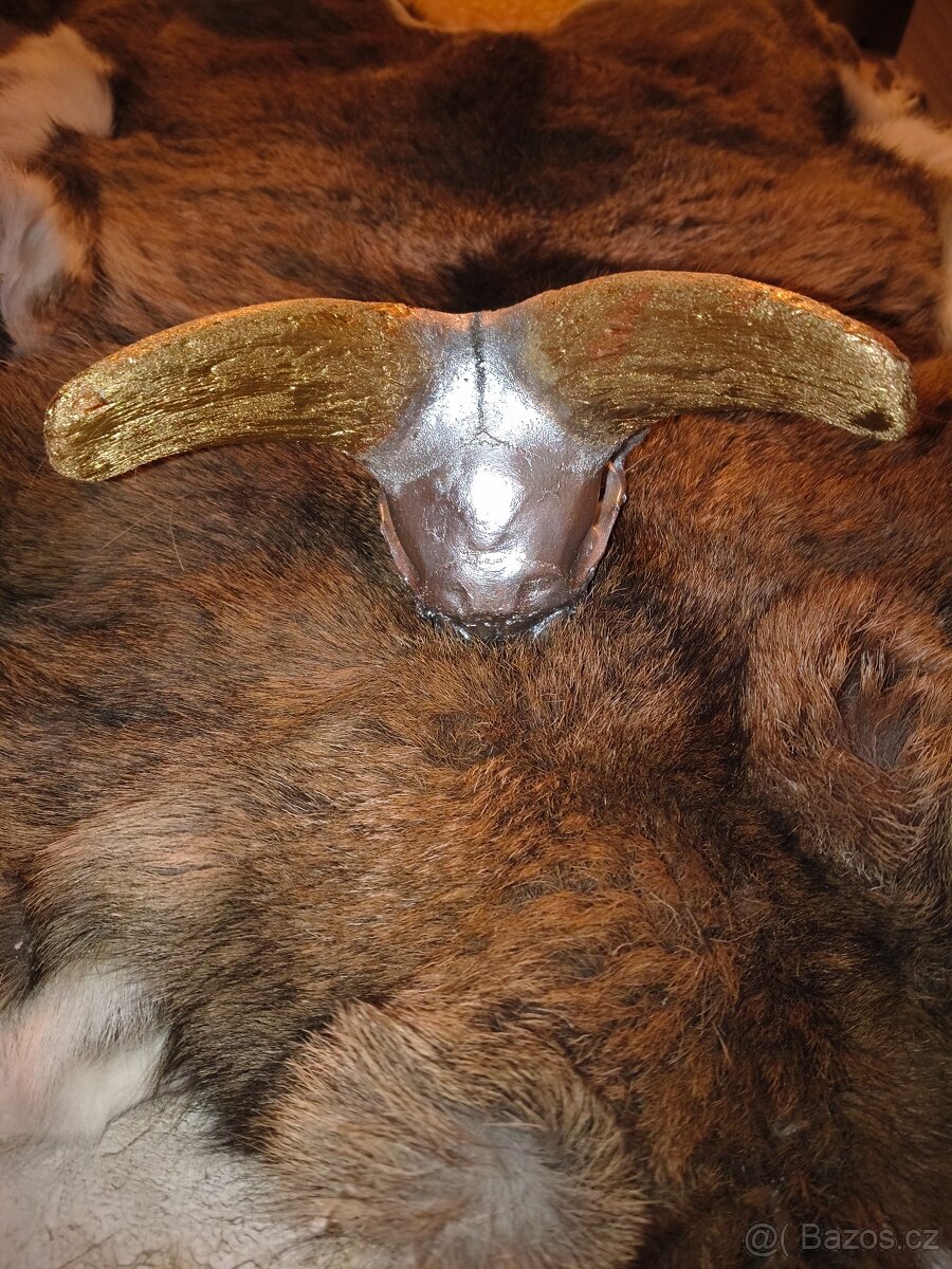 Originální dekorace – mufloní lebka - 6