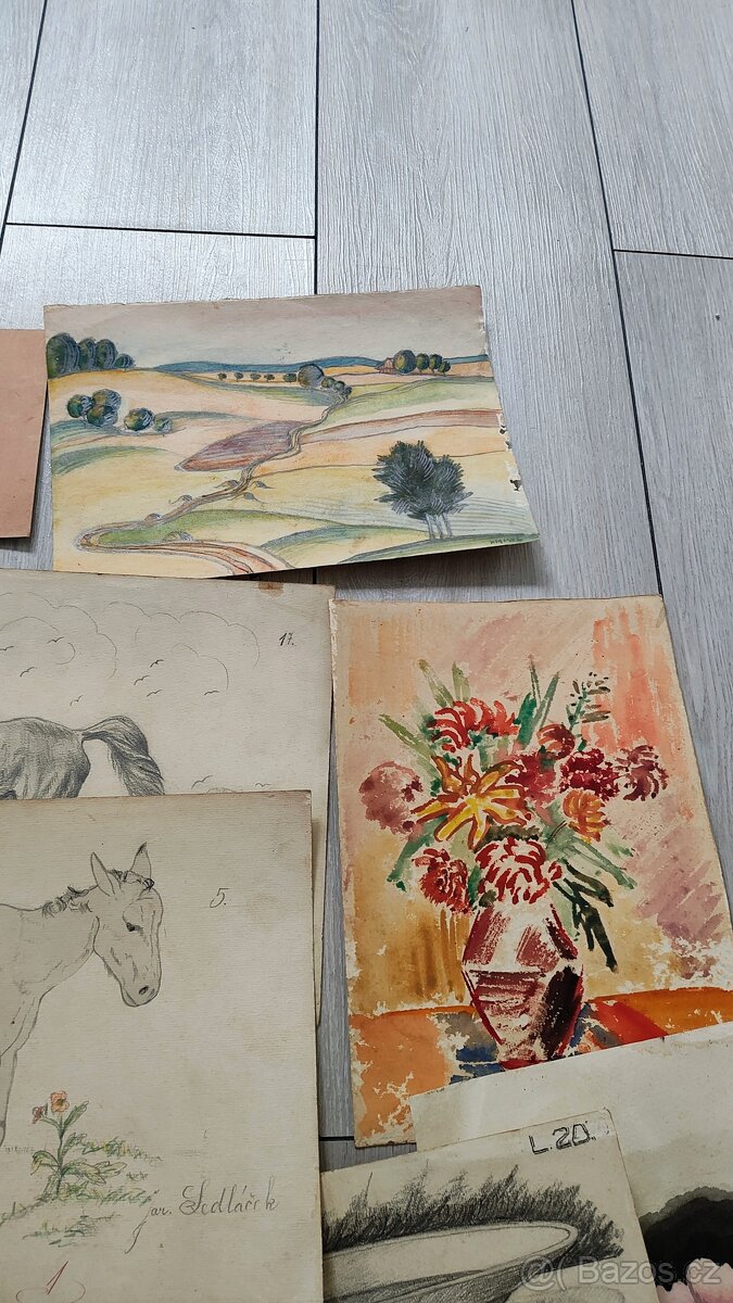 Obrazy, obrázky - 6