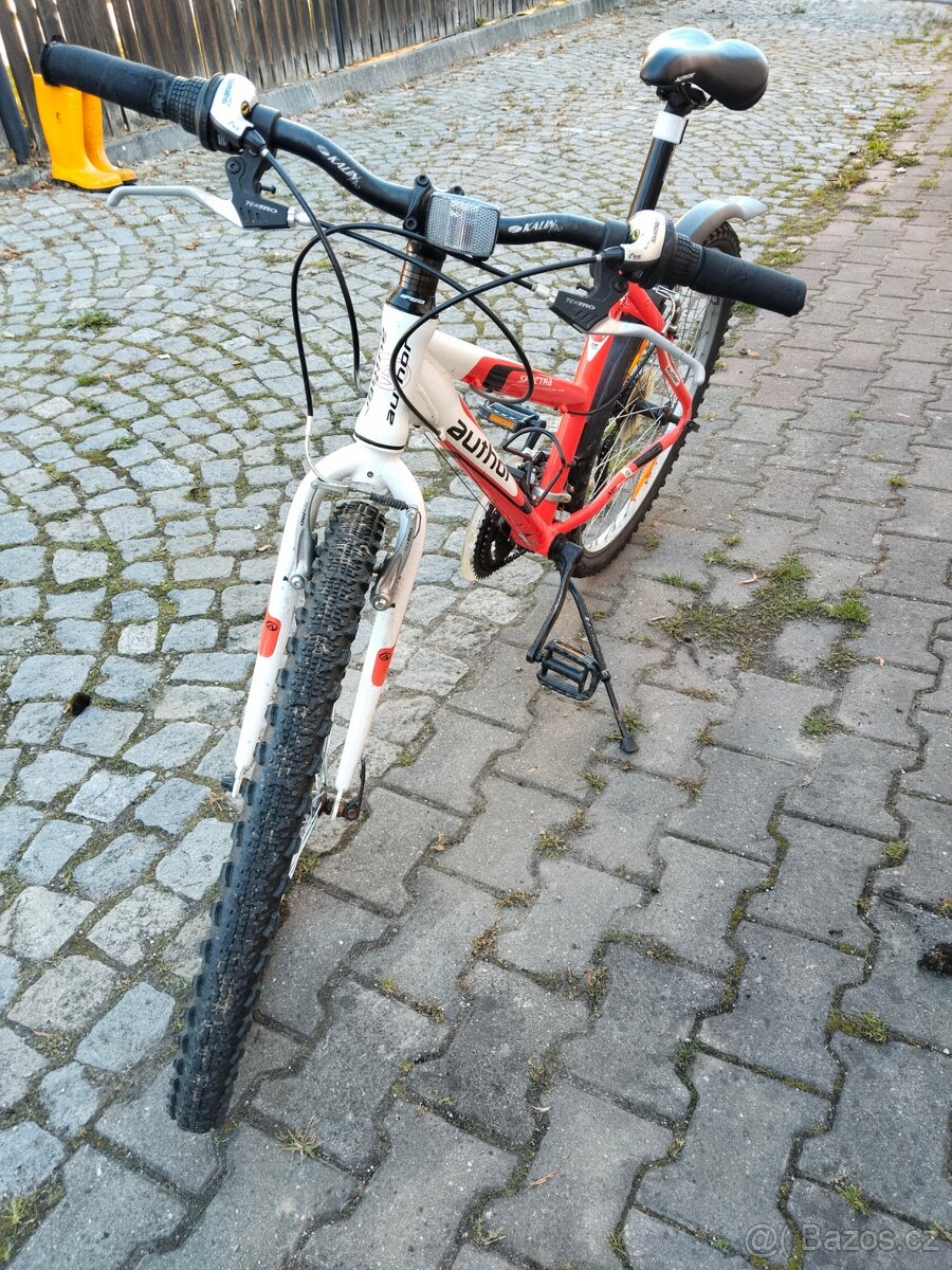 Dívčí horské kolo - 6