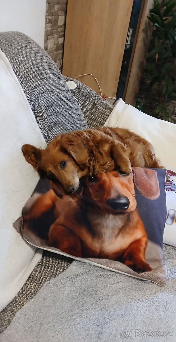 Stěně Jezevčík - 6