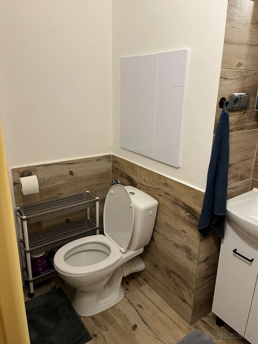 Byt 1+1 Havířov- Podlesí - 6