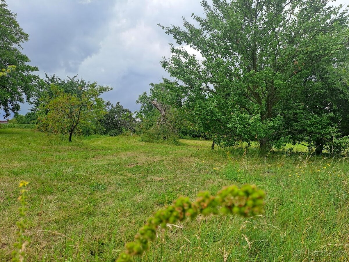 Prodej pozemku ke stavbě v obci Češov u Jičína - 6
