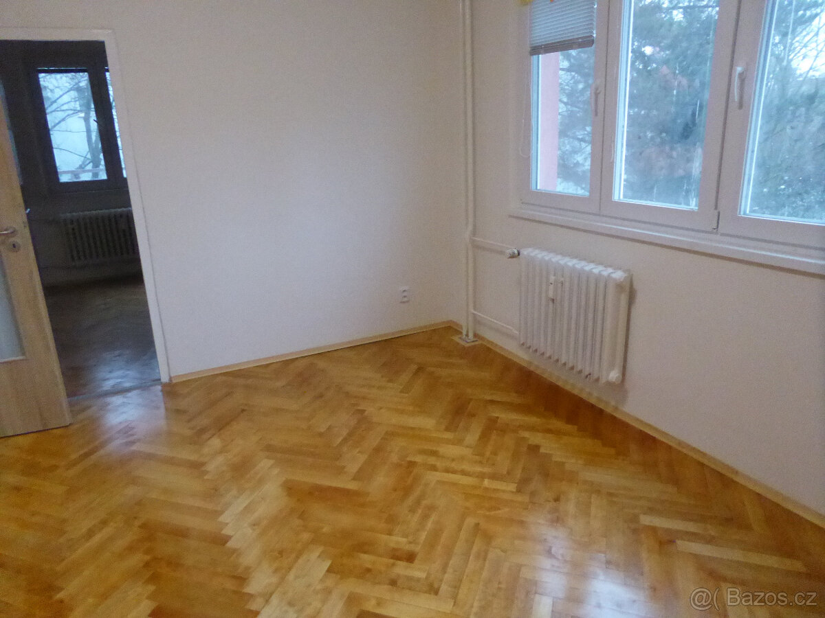 Pronájem bytu Vídeňská - 6