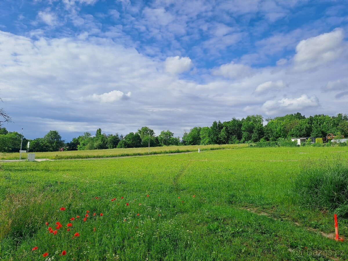 Prodej stavebních pozemků 911 a 912 m² Sezemice_Počaply - 6