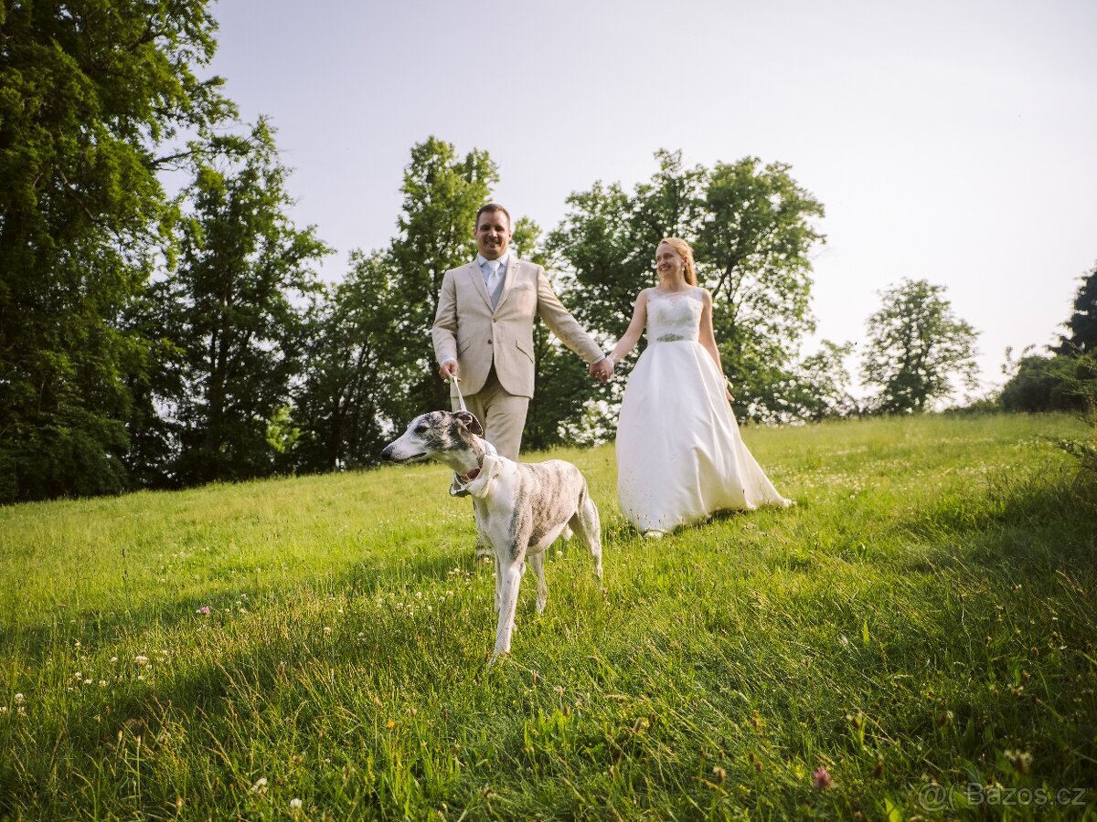 Nabídka krytí - whippet samec s PP, chovný vipet - 6