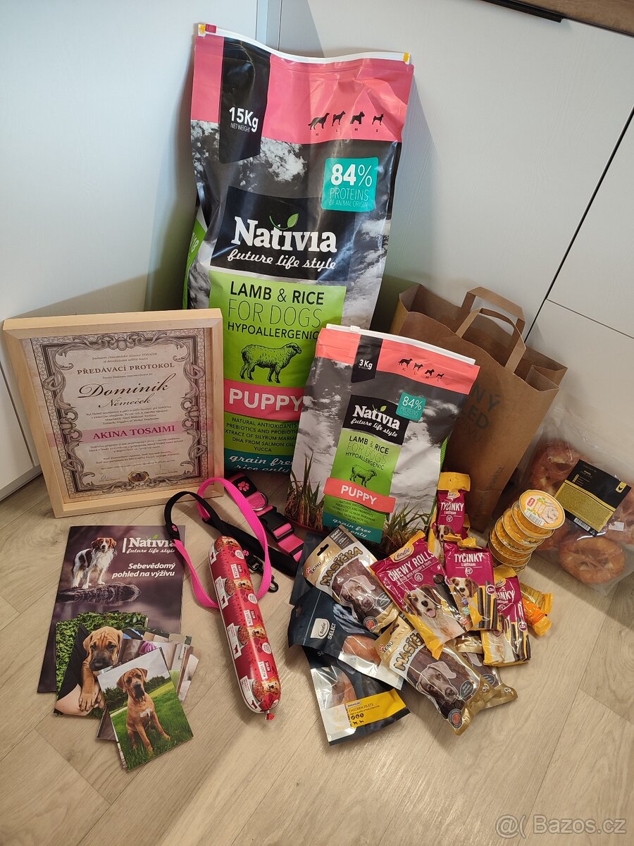 TOSA INU______zlatá štěňátka s PP - 6