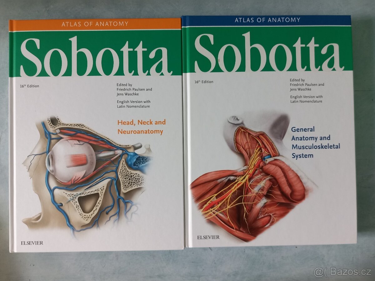 Sobottův anatomický atlas (angličtina a latina) - 6