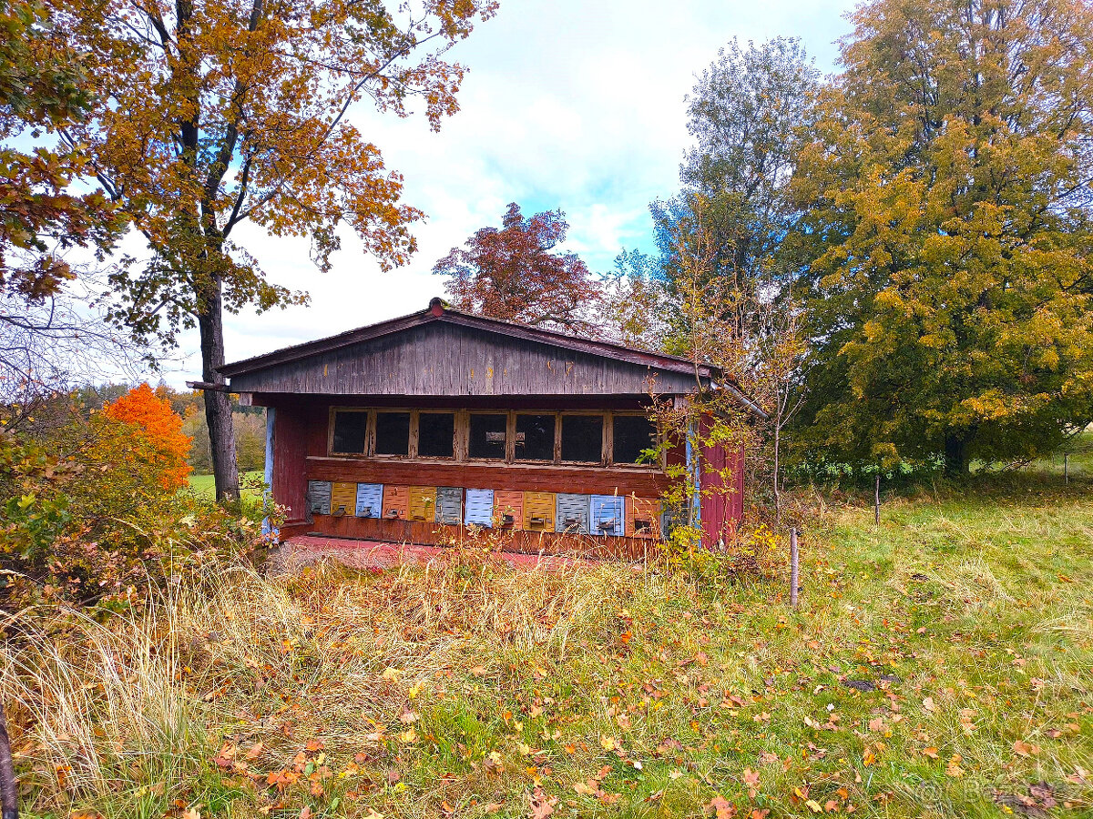 Janov - zemědělská usedlost se stodolou a pozemky 11 612 m2 - 6