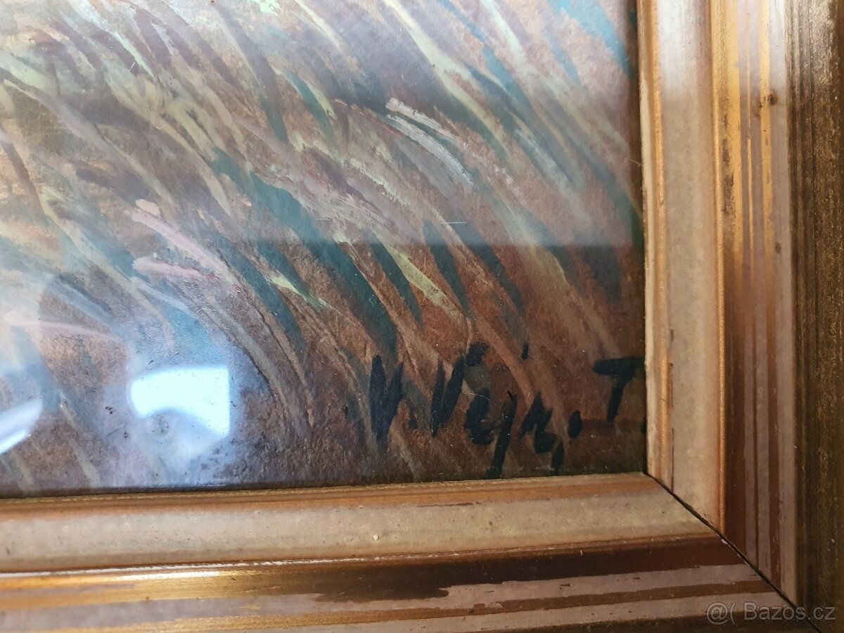 Obraz ak.malíř Václav Vejr – Blata, perfektní stav, sklo - 6