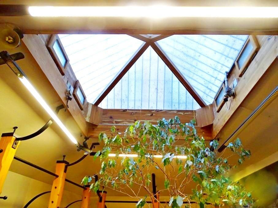 Pronájem obchodních prostor, centrum Olomouce - 6