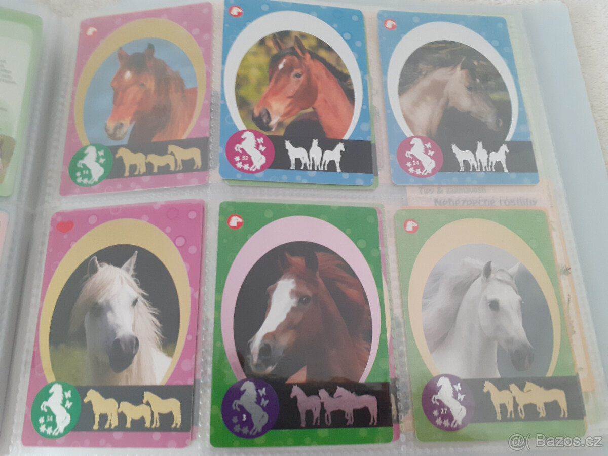 Album na kartičky koní + 40 kartiček - 6