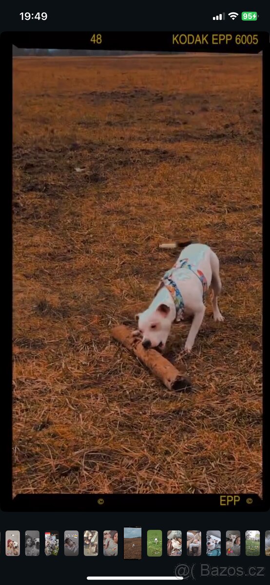 Aura hledá rodinu - 6