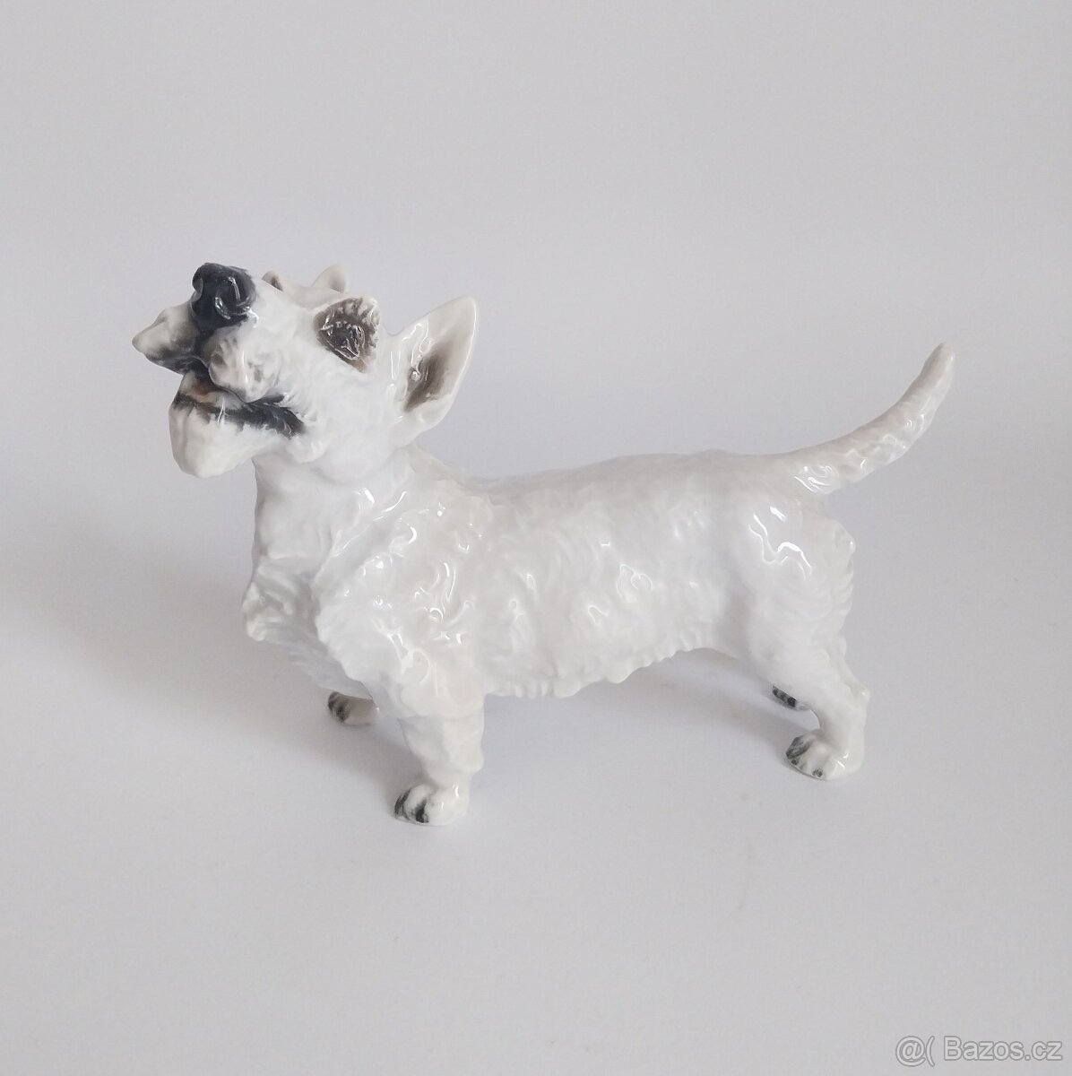 Porcelánová figura teriéra - Rosenthal - 6