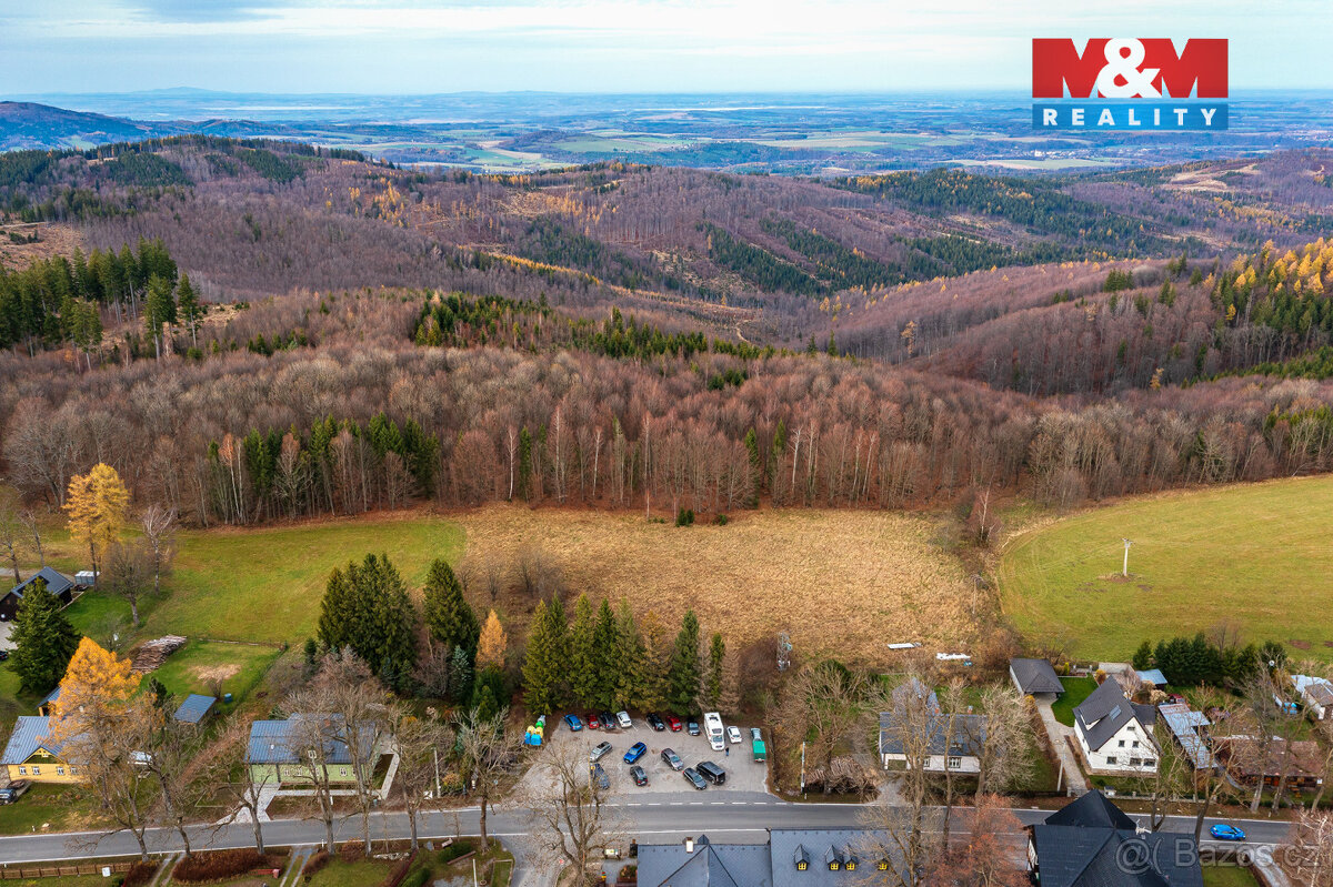 Prodej louky, 8554 m², Zlaté Hory - Rejvíz - 6