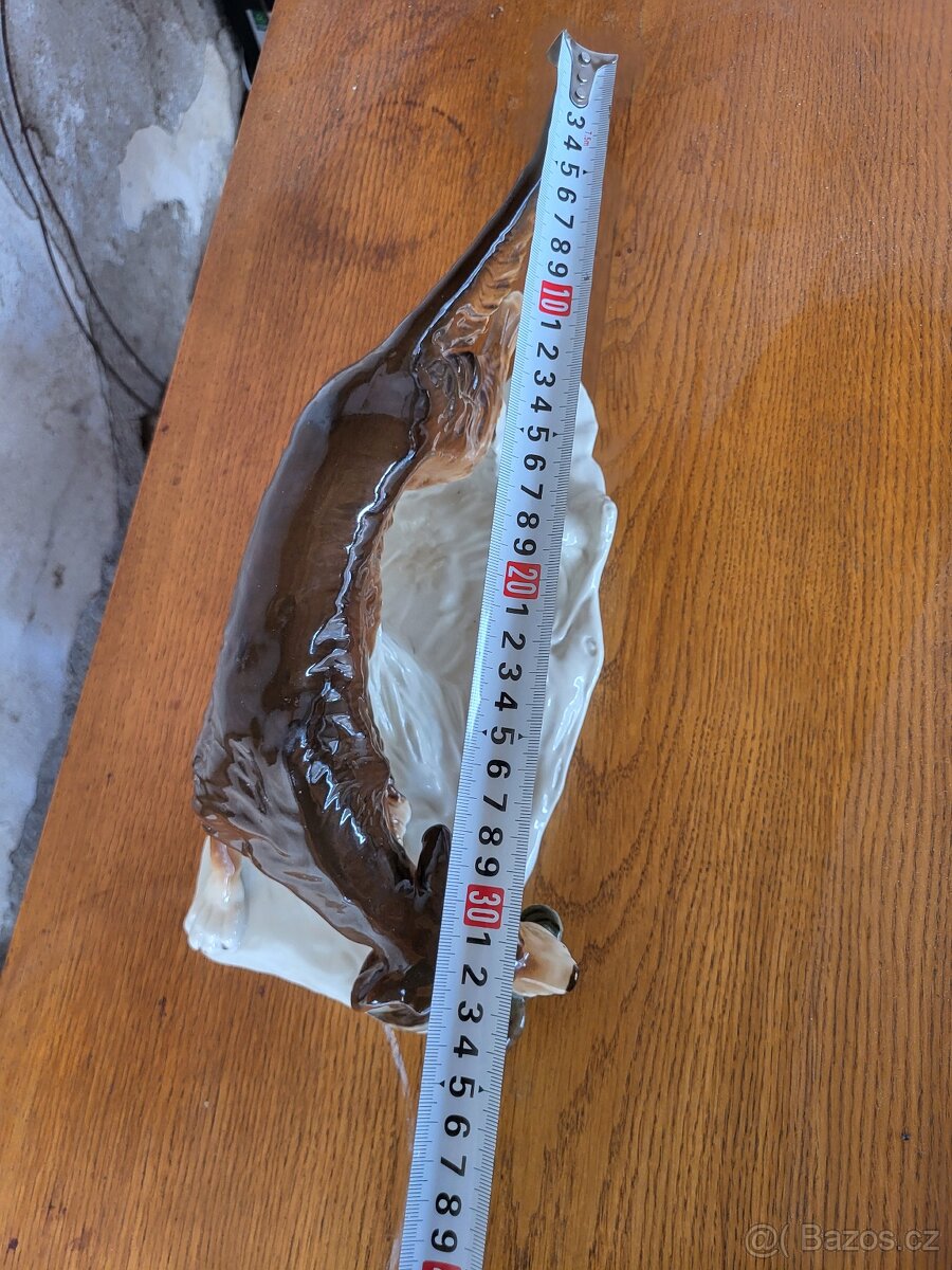 Lovecký pes Royal - Dux - 6