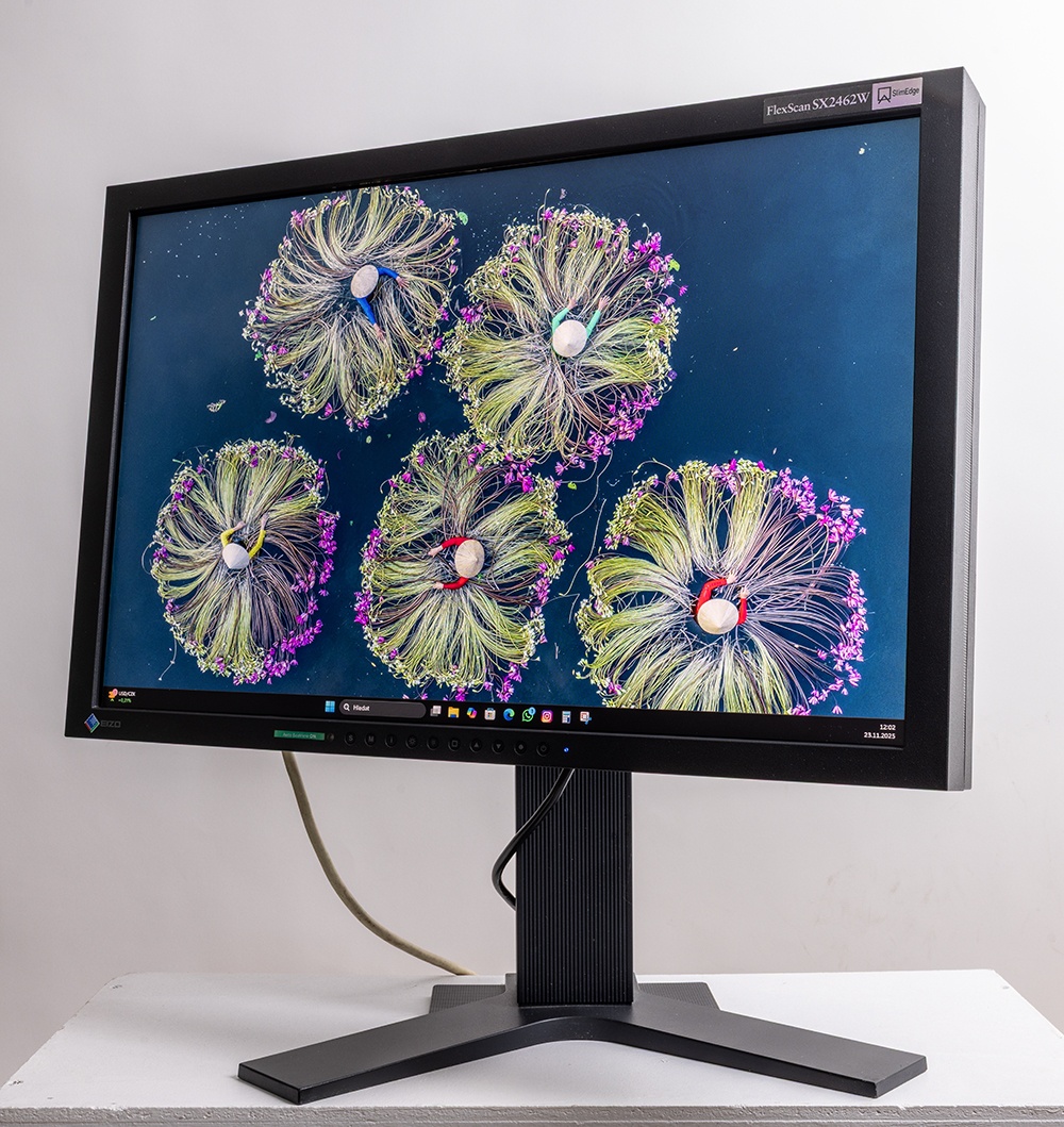 EIZO SX2462 W - 6