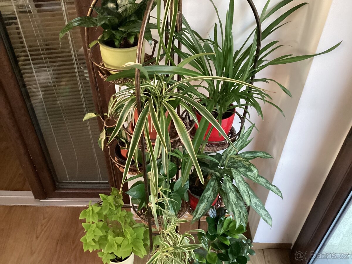 Květinový koutek - 6