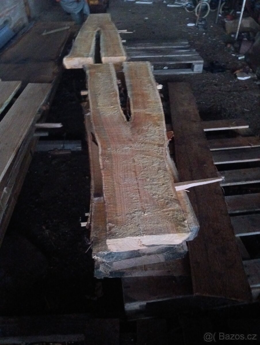 fošny buk, dub, Planá třešeň, orech - 6