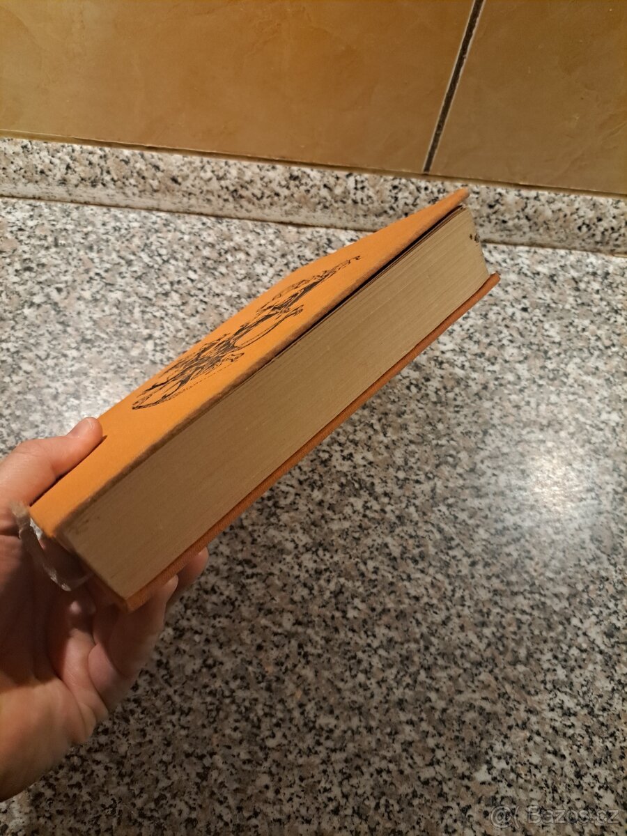 Bez domova - Hector Malot - 6