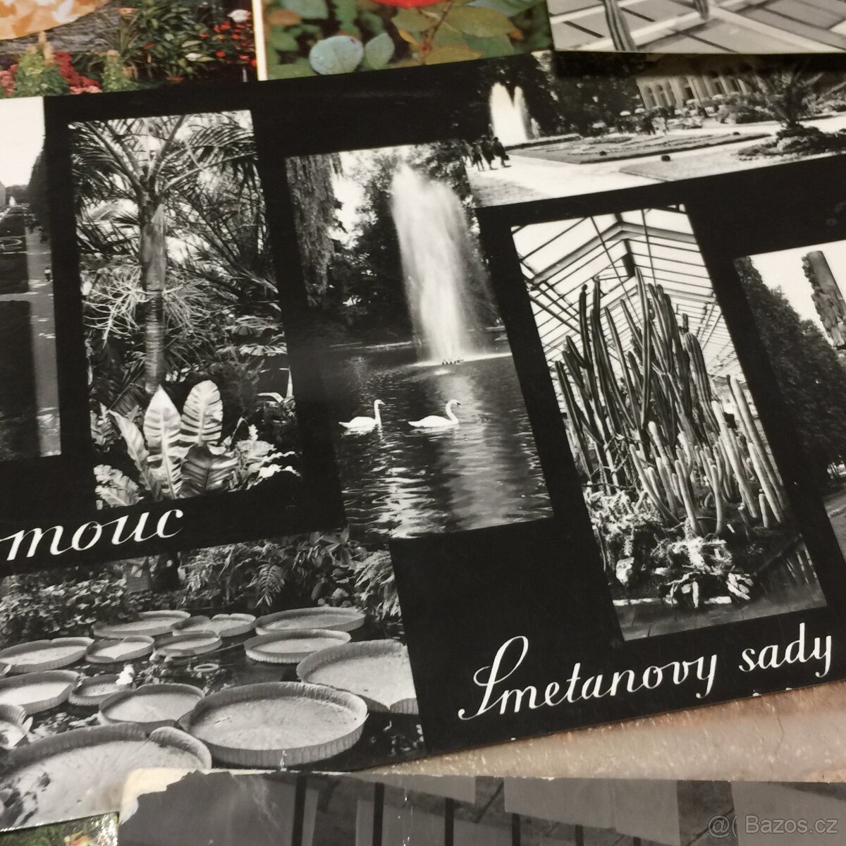 staré pohledy Olomouc výstava Flora - 6