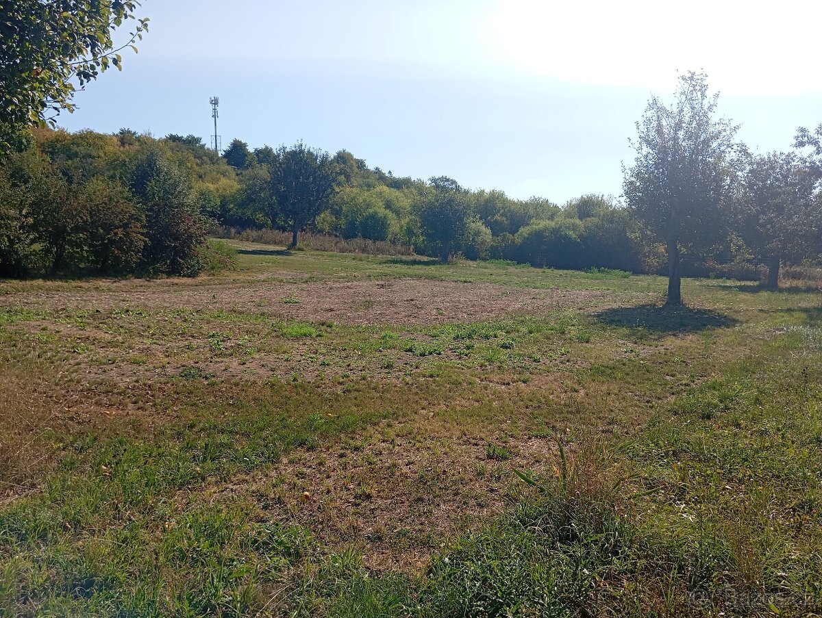 Prodám zahradu u obce Převýšov - 6