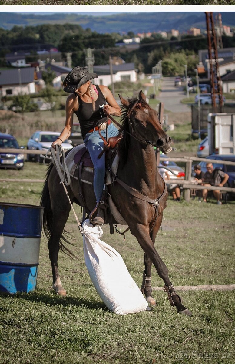 Klisna A1/1 9let - 6