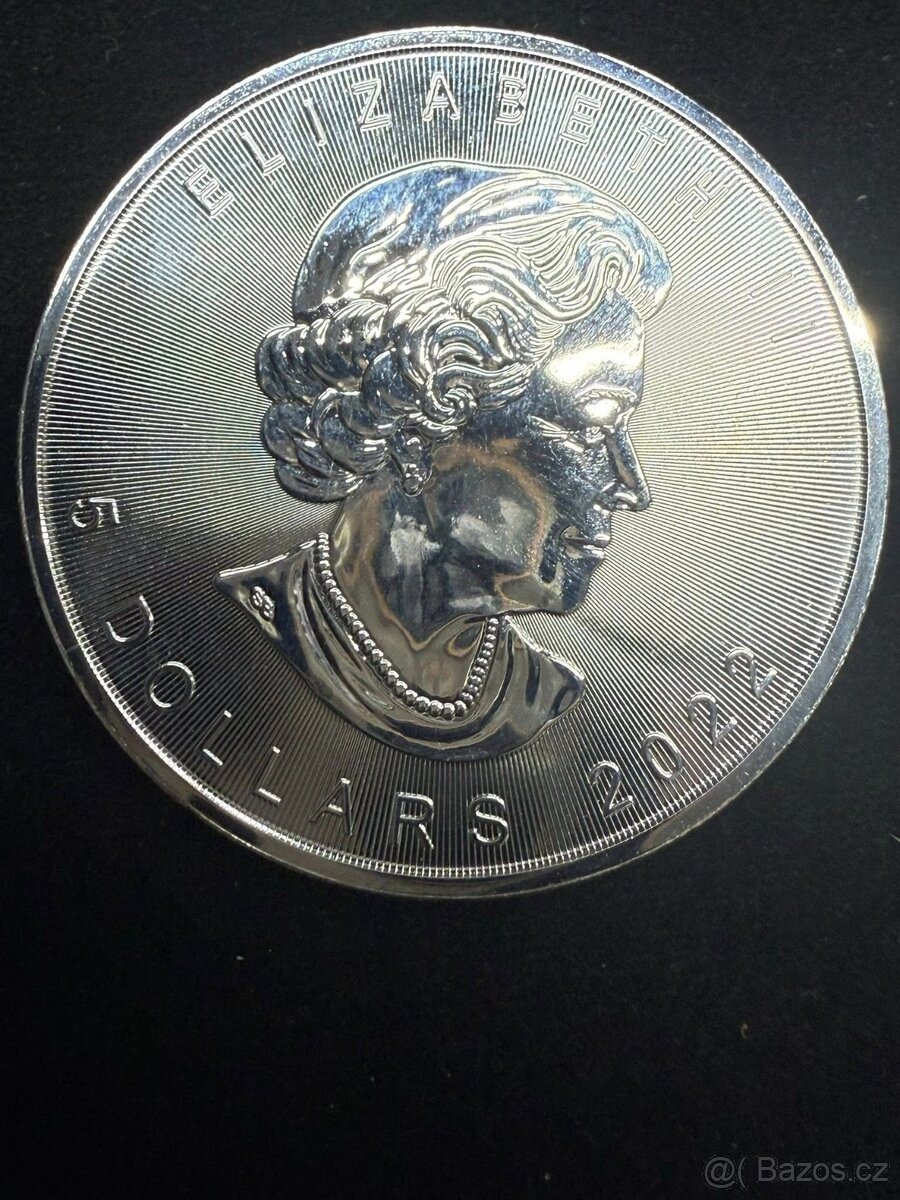 Stříbrná investiční mince Maple Leaf 1 oz - 6