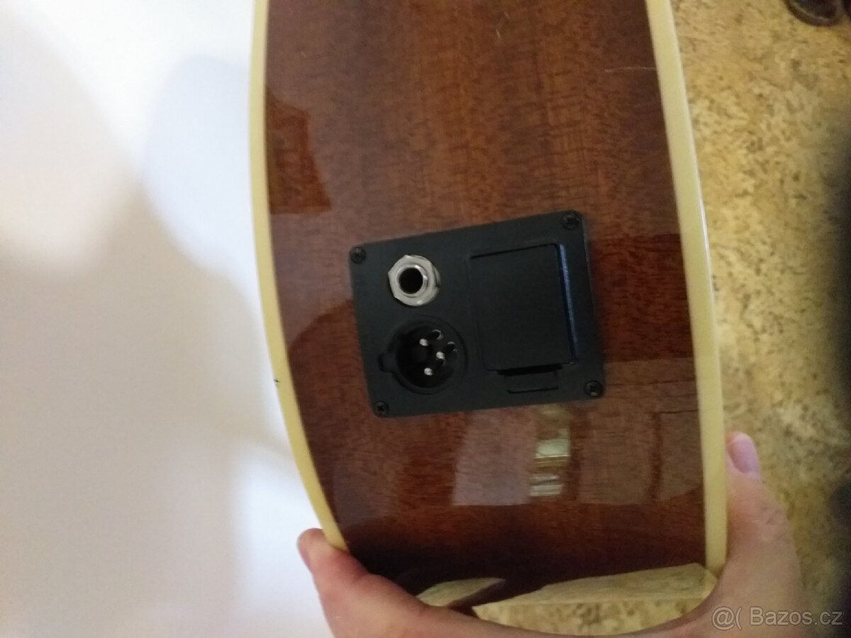 Elektroakusticka dvanactistrunna kytara Washburn - 6
