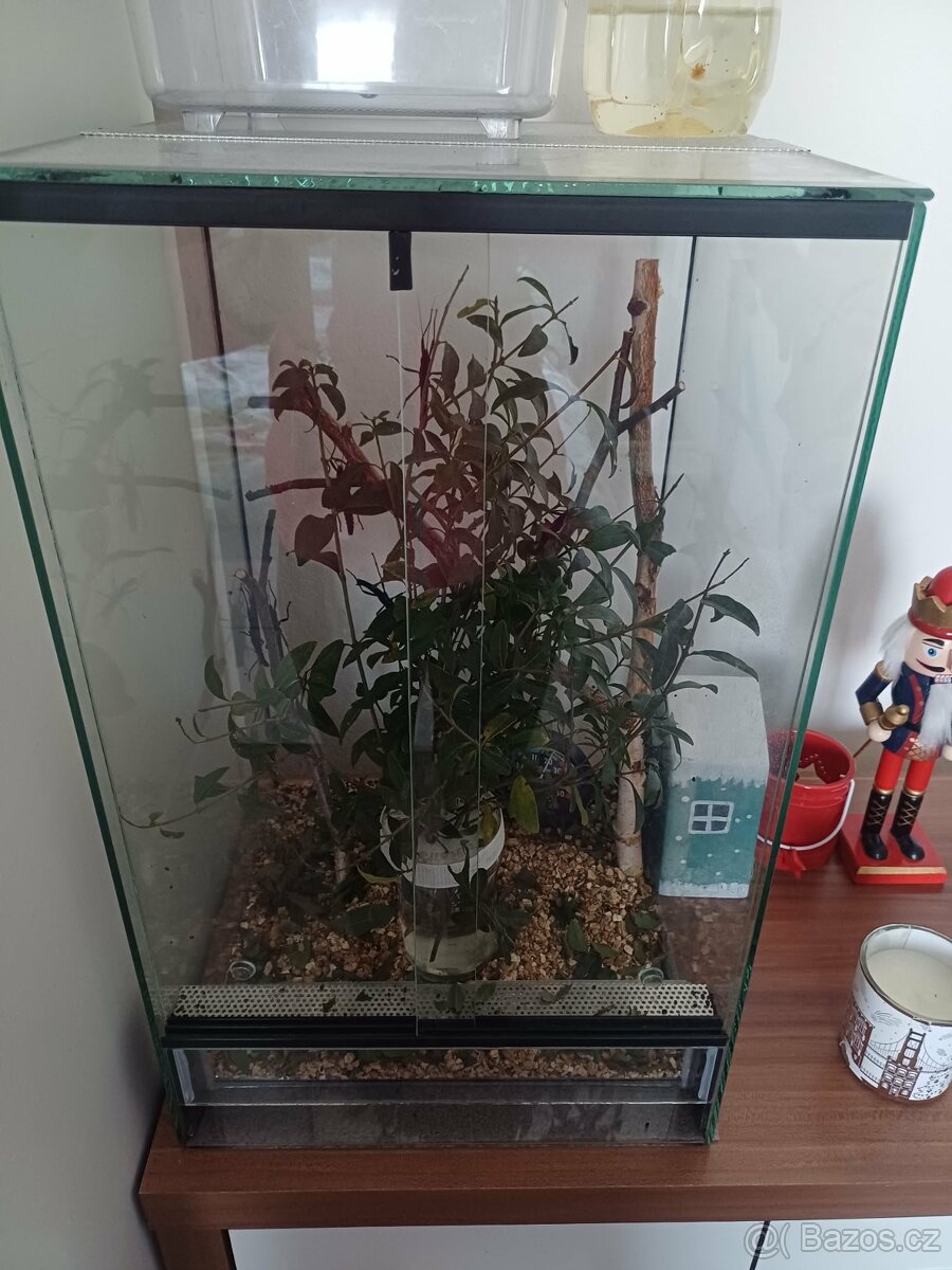 Strašilky ďábelské - 6