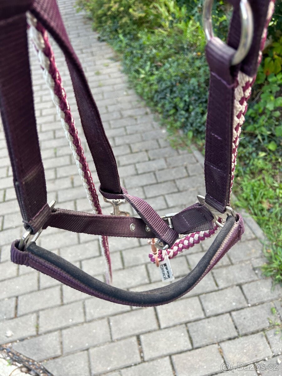 Eskadron ohlávka + vodítko vínová - 6