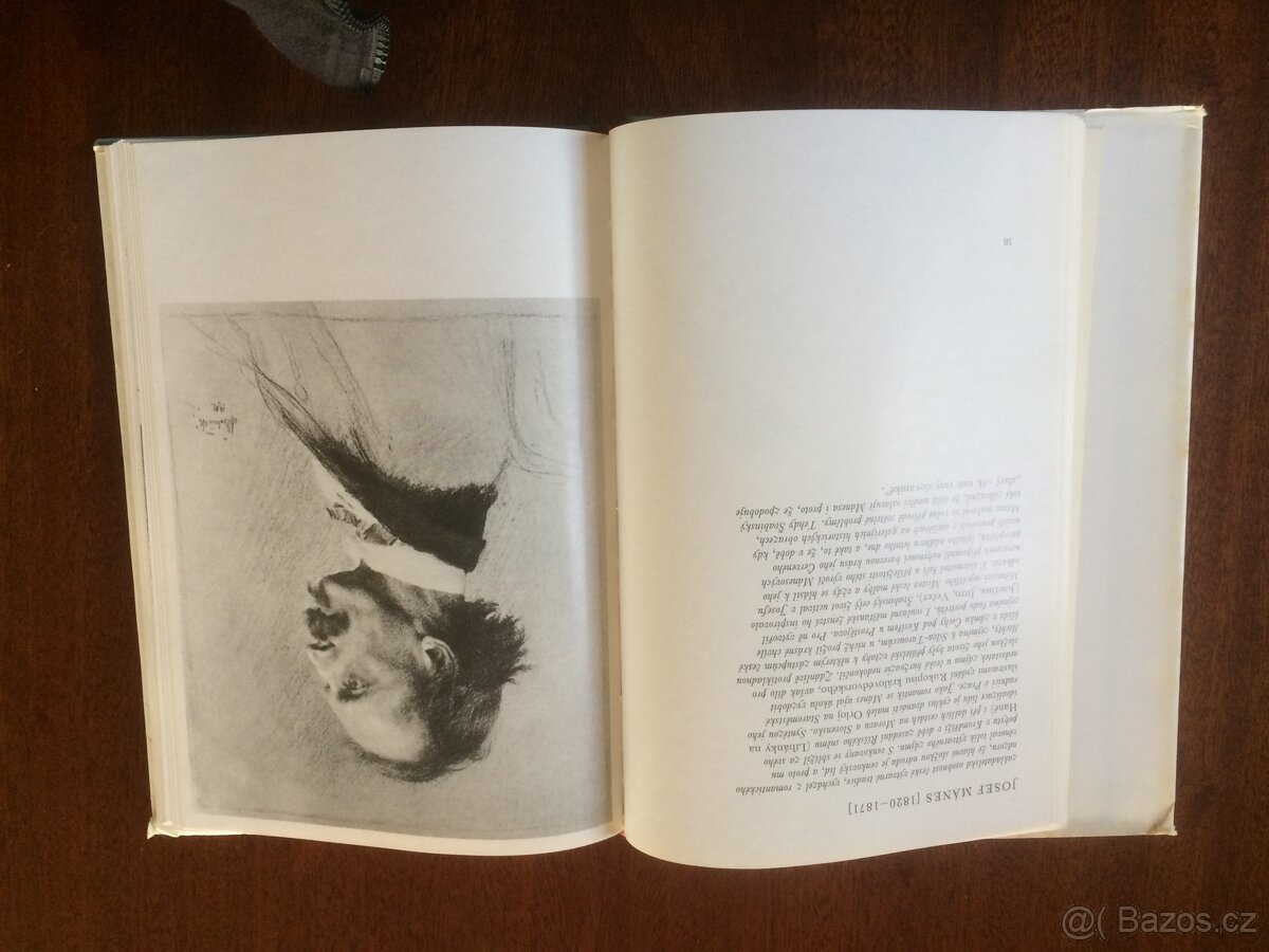 Švabinského český slavín - 6