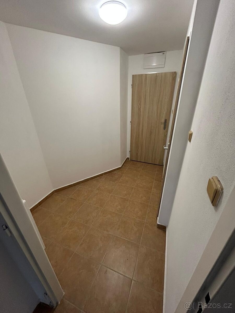 Pronájem bytu 1+1 Chodská Lhota - 6