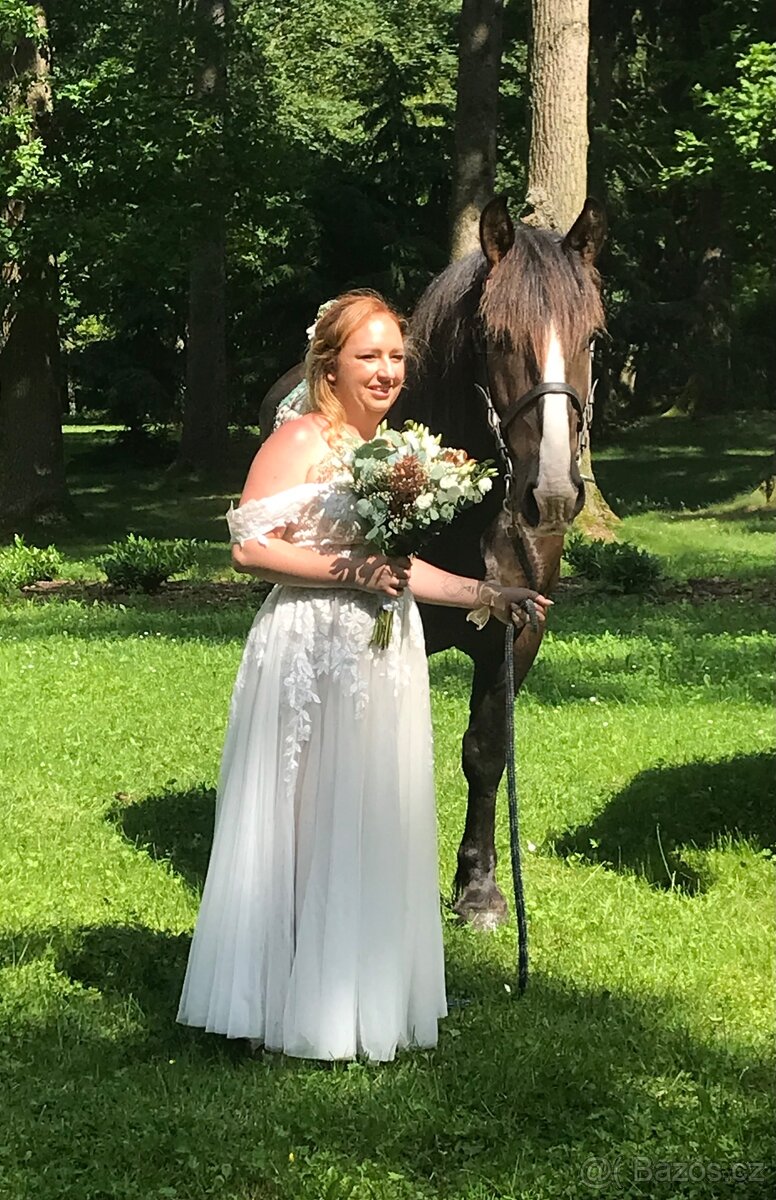 Jízda na koni, jízda kočárem, kroužek, voltiž, tábory - 6